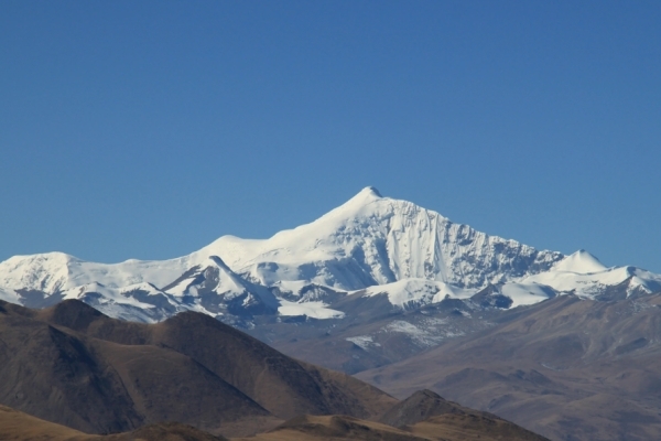 宁金抗沙峰图片