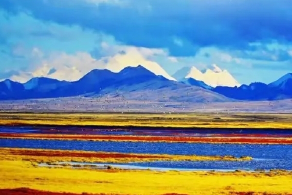 尕恰迪如岗图片