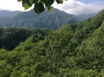 蟠桃山