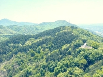 百望山