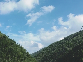 百丈山