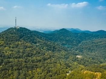 紫金山