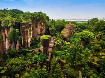 莲花山