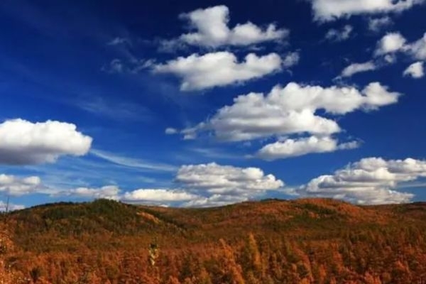 西罗尔奇山图片