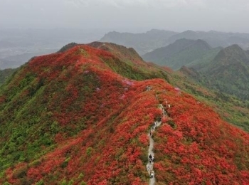 龙泉山