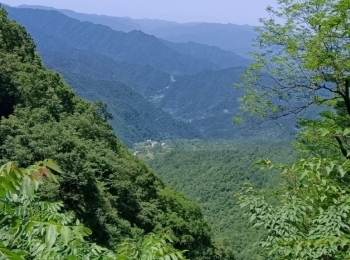 王顺山