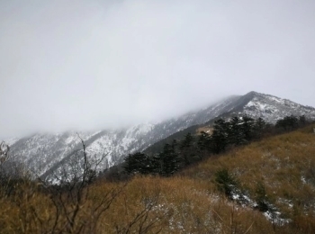 冰晶顶