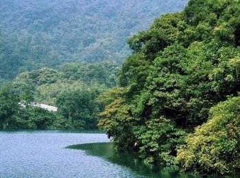 鼎湖山