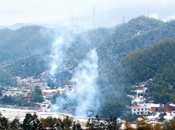杨岐山
