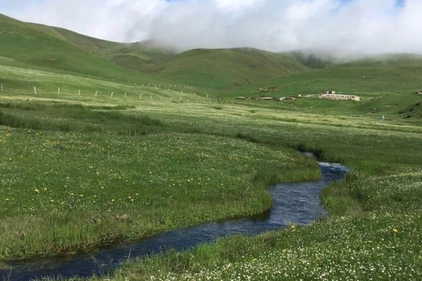 会泽大海草山图片