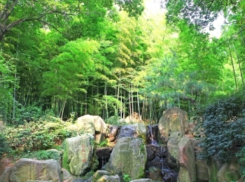 虎丘山